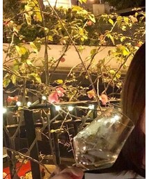 instagram:ttcor | その他