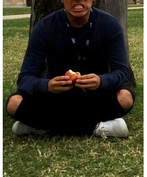 apple | その他