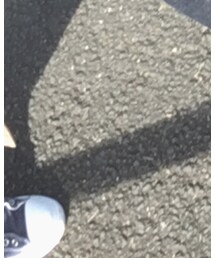 靴下屋 | ソックス/靴下