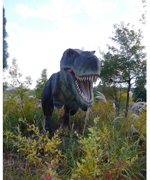 勝山ディノパーク | その他