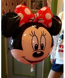 ミニーちゃん | その他