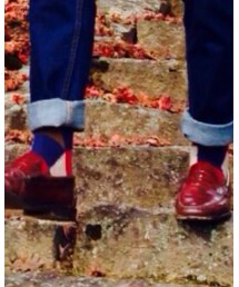 靴下屋 | ソックス/靴下