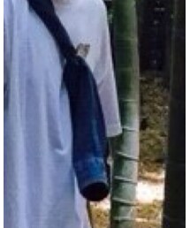 Eddie Bauer | シャツ/ブラウス