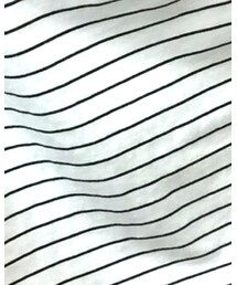 WEGO | Tシャツ/カットソー