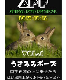 APFフェス告知 | その他