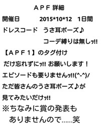 APFフェス詳細 | その他