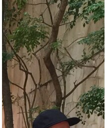 CA4LA | キャップ