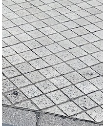 Whimzy | ソックス/靴下