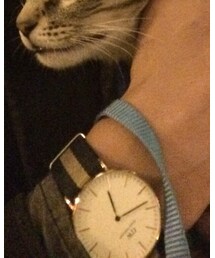 Daniel Wellington | 腕時計