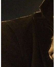 JOHN VARVATOS | テーラードジャケット