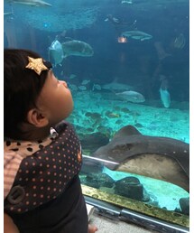 水族館デビュー | ママ＆ベビー