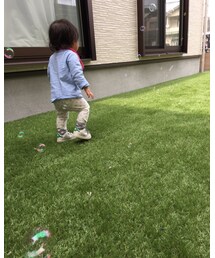 追いかける〜♫ | その他