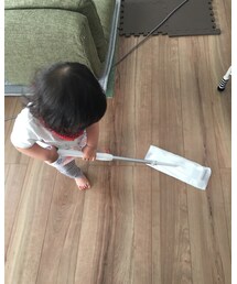 モップ | その他