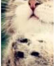 no brand | カバーオール