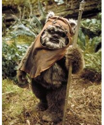 ☆ | イウォーク(その他)