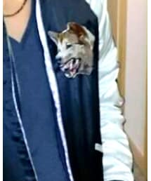 VANQUISH | その他アウター