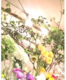 Domestic | ニットキャップ/ビーニー