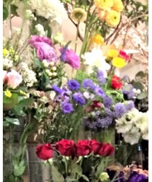 Velva Sheen | Tシャツ/カットソー