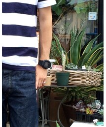 Velva Sheen | Tシャツ/カットソー