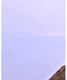 MILLER | Tシャツ/カットソー