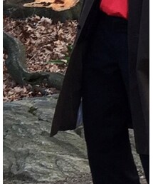 Dickies | スラックス