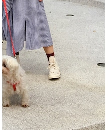 CONVERSE | シューズ