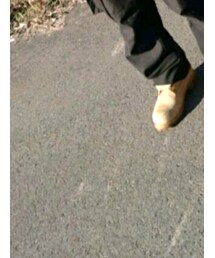 Timberland | ブーツ