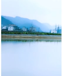 EVISU | デニムパンツ