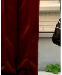 Needles | ジャージ