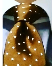 SHIPS | ネクタイ