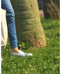 VANS | スニーカー