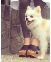 no brand | パンツ