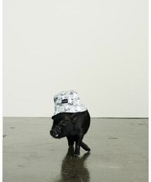 LAZY OAF | Lazy Oaf x Looney Tunes (ハット)