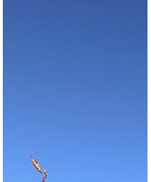 J!NS | サングラス