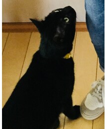 もずく | その他