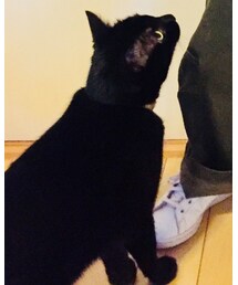 もずく | その他