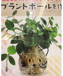 その他 | プラントボール(その他)