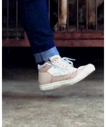 Timberland | スニーカー