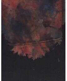 染 0658 | パーカー