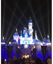⭐️Disneyland Forever⭐️ | その他