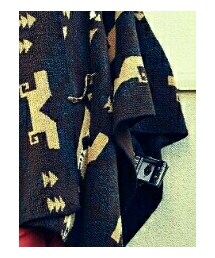 ？？？ | ポンチョ