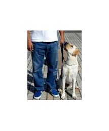 Levi's BLUE | LEVIS 501(デニムパンツ)