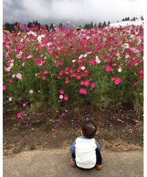 きれい🌸 | ラッピングキット