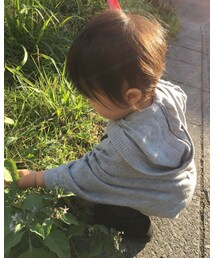 草に夢中 | ラッピングキット