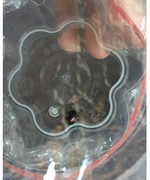 🐞 | ラッピングキット
