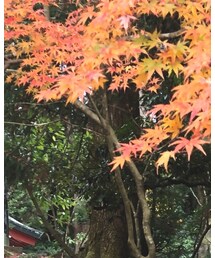 ★ | ラッピングキット