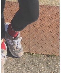 靴下屋 | ソックス/靴下