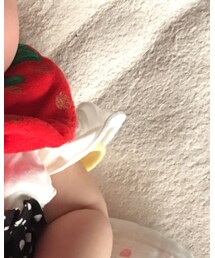 西松屋 | Tシャツ/カットソー