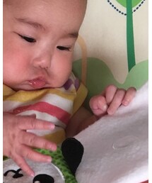 UNIQLO | アンダーウェア