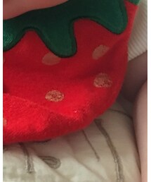 BRANSHES | スタイ/よだれかけ